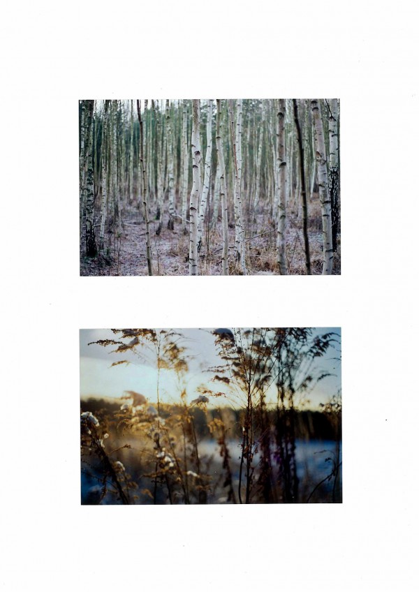 Olaf Dahlhaus, 2006 Winterlandschaft