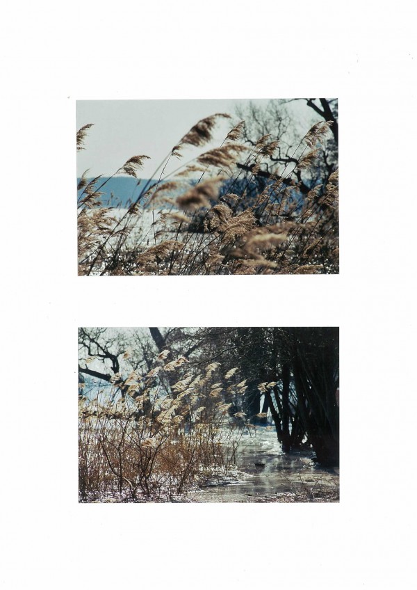 Olaf Dahlhaus, 2010 Havellandschaft